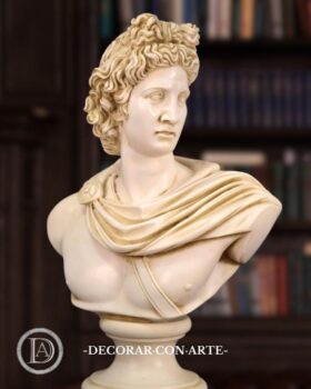 Busto di Apollo del Belvedere. 50cm