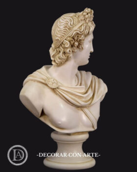 Busto di Apollo del Belvedere. 50cm