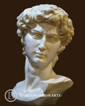 Buste de David de Michel-Ange. 45x60cm