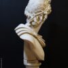 Busto Apolo Belvedere