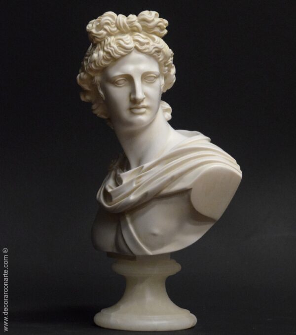 busto Apolo Belvedere