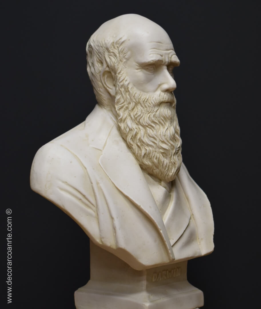 Charles Darwin Bust 21cm Handmade in England 