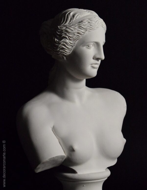 busto Venus Milo