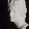 busto Venus Milo