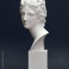 busto Venus Medici