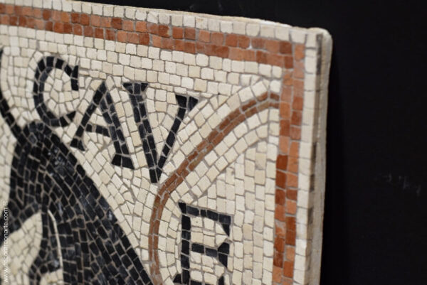 mosaico cave canem detalle