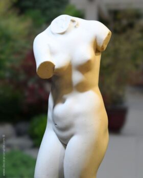 reproducción de torso de Venus