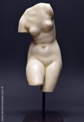 Torso de venus con pie de hierro
