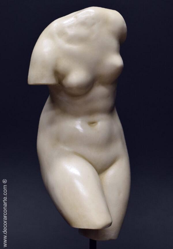 torso venus