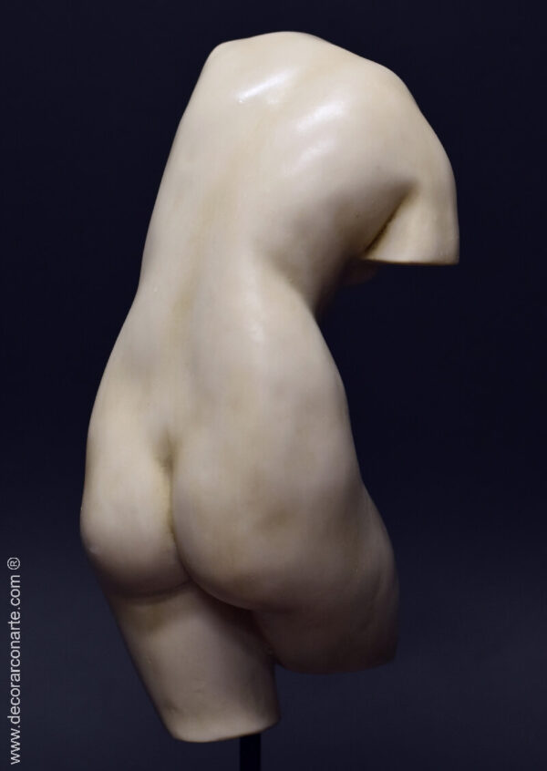 torso venus