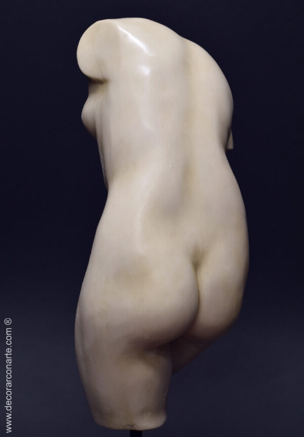 torso venus