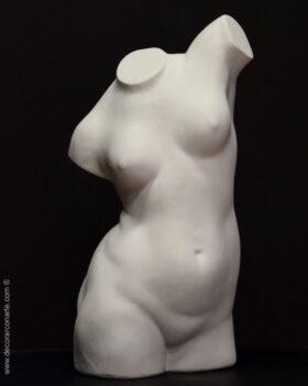 torso escayola