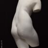 torso Venus escayola