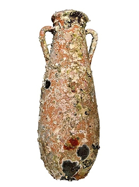 Amphora Sicilia. H 74cm. Cultivated under the sea.