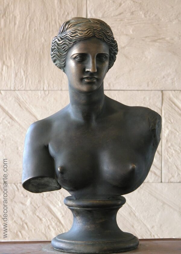Venus de Milo patinada Vénus de Milo patinée en bronze