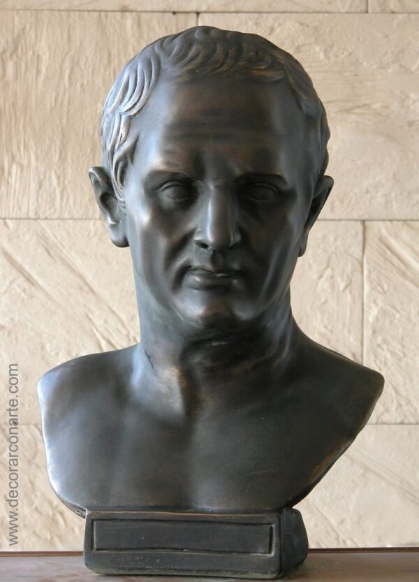 Busto de Cicerón- 53 cm Buste de Cicéron patiné en bronze