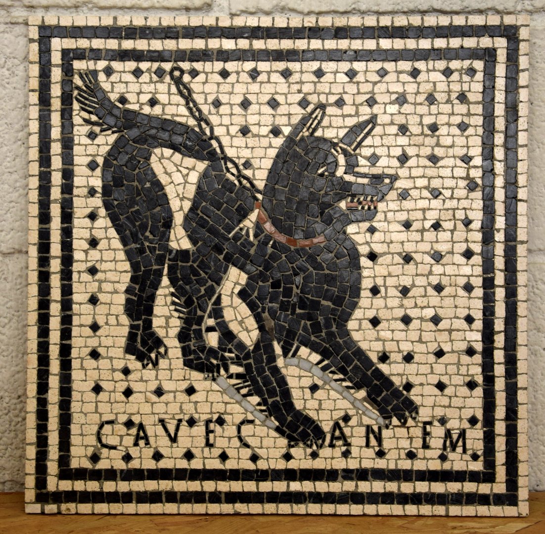 [Jeu] Association d'images - Page 18 Mosaico-Cave-Canem-CVC001