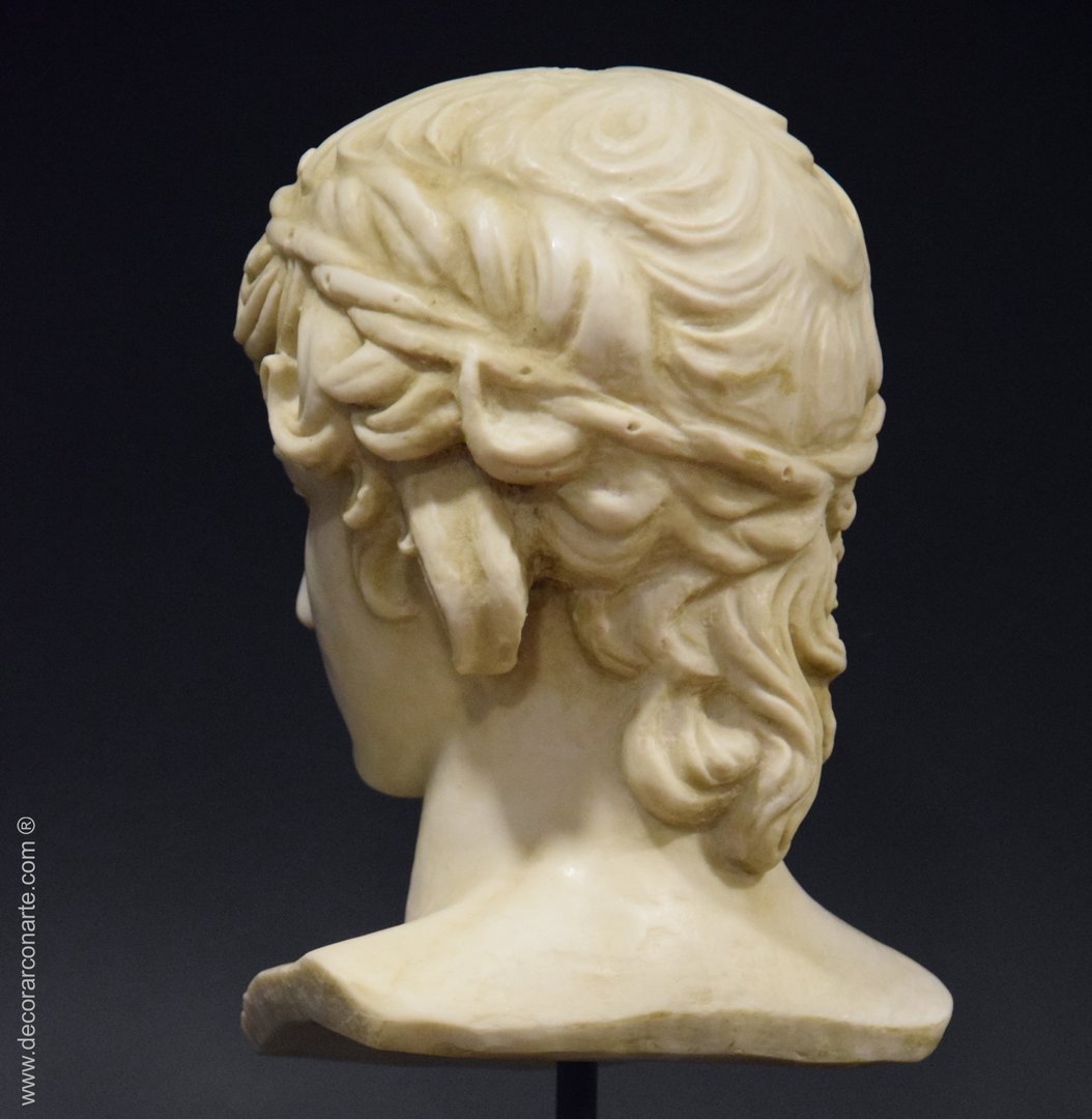 Bust of Antinous. 34 x 13 cm.