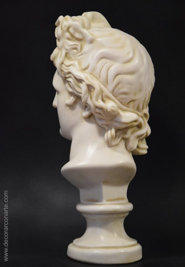 escultura decoración cabeza Apolo Belvedere