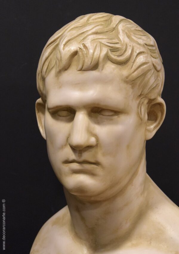 busto Agripa