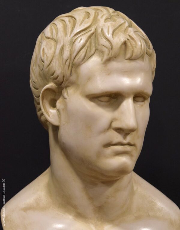 busto Agripa