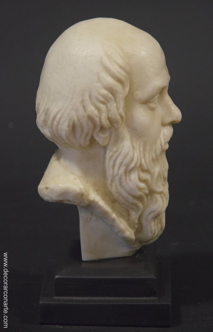 figura decorativa busto Socrates