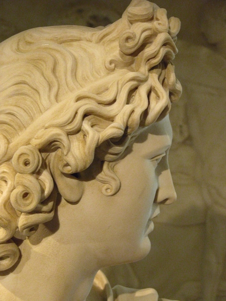 escultura decoración busto Apolo Belvedere
