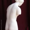 escultura decoración torso Venus escayola