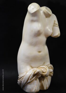 torso femenino desnudo