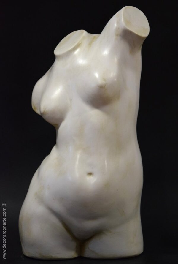 torso femenino escorzo