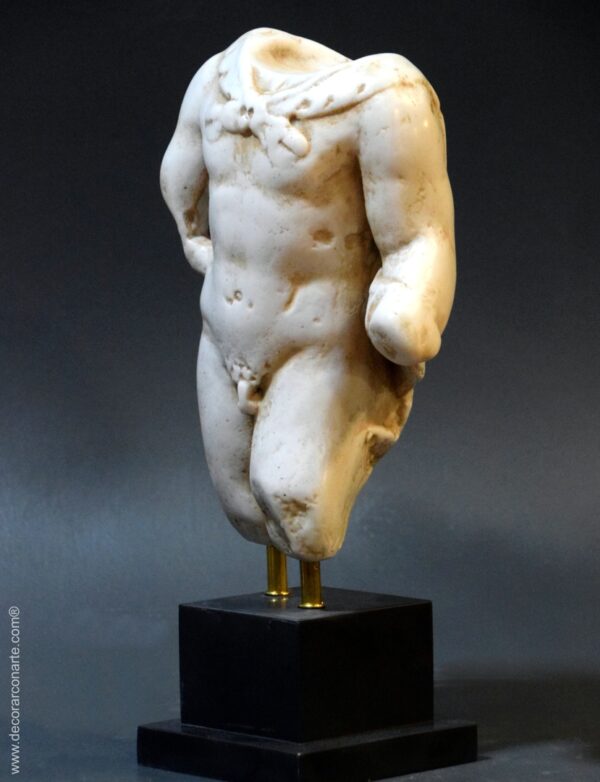 torso Hércules piel león